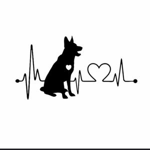 Meet your Posher, Raquel